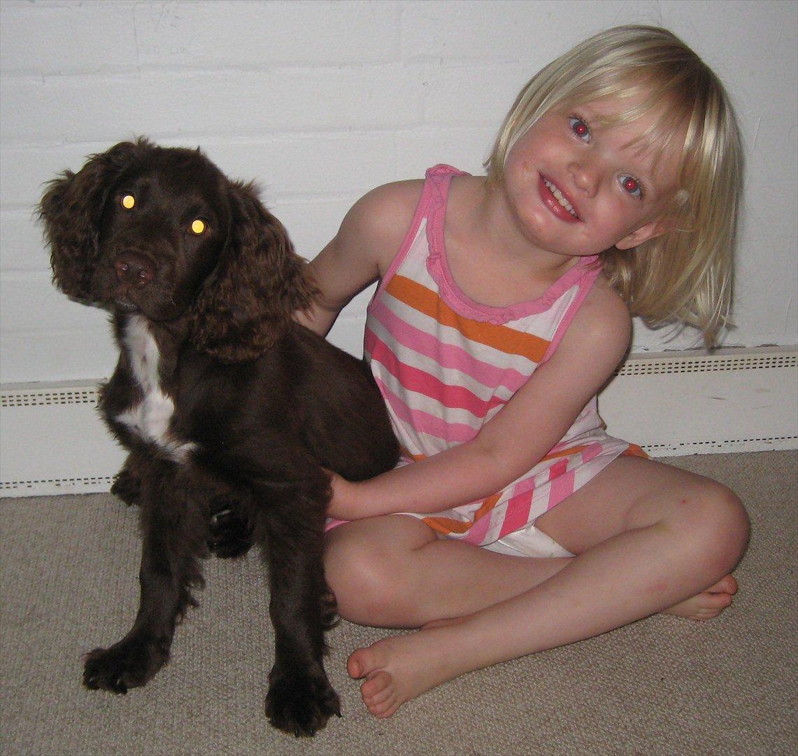 Field Trial Cockerspaniel Choko - choko og min datter billede 13