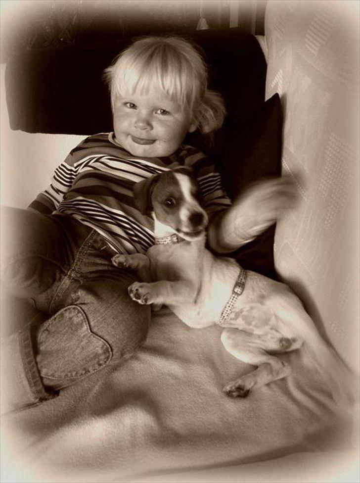 Blanding af racer Mira - Mira og min niece hygger på sofaen :-) billede 4