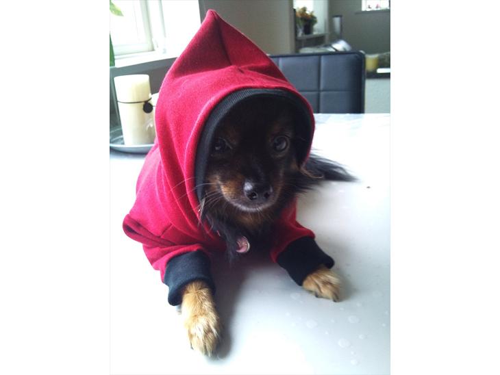 {{currentPhoto.altText}} billede {{currentPhoto.number}}