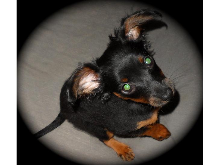 {{currentPhoto.altText}} billede {{currentPhoto.number}}