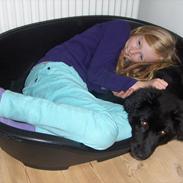 Blanding af racer Tjikko