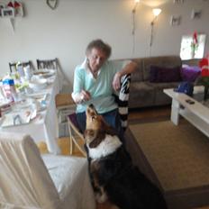 Blanding af racer Bamse 