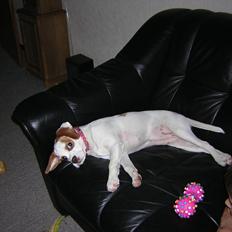 Blanding af racer Plet