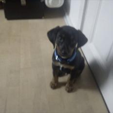 Blanding af racer Max <3