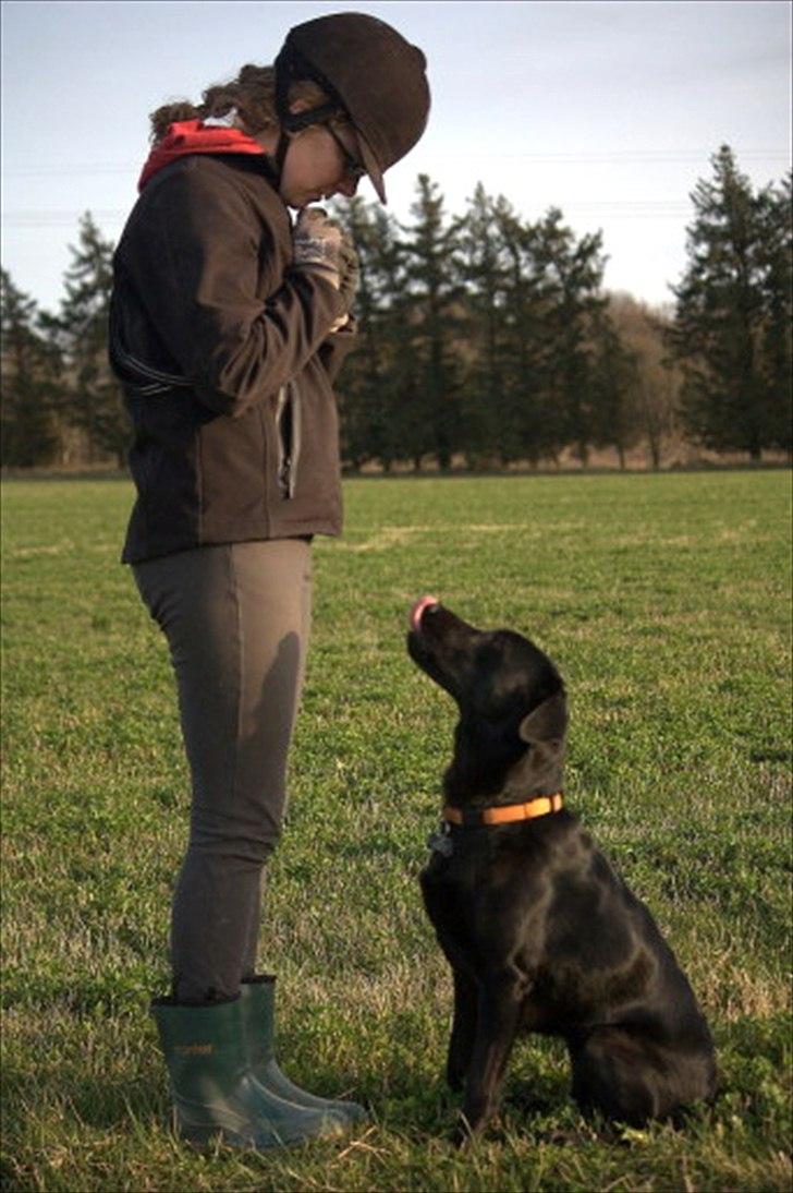 Blanding af racer Sif II billede 4