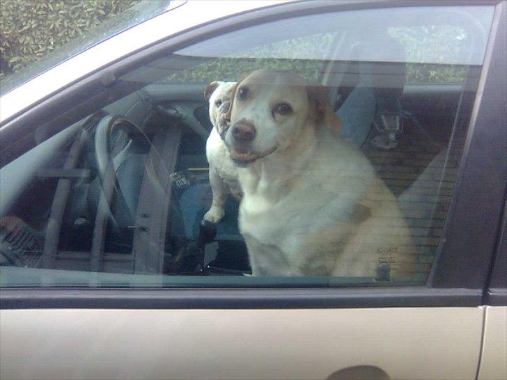 Blanding af racer Oliver - Kom vi stikker af Oskar billede 4