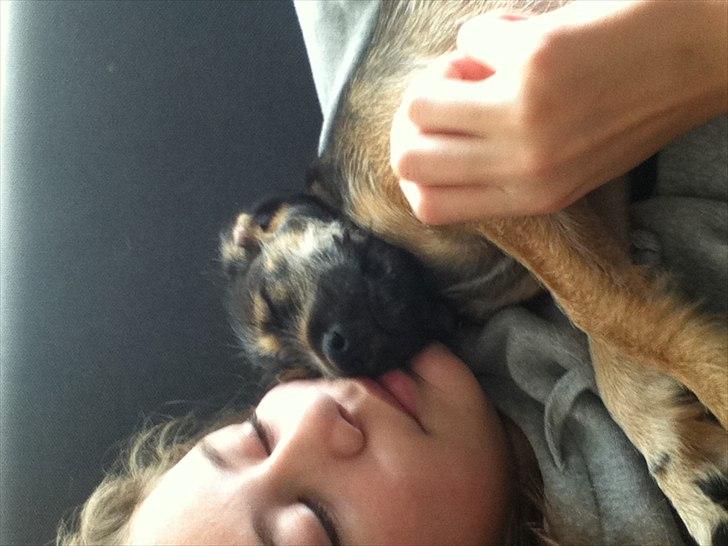 Blanding af racer Thea - mig og Thea billede 1