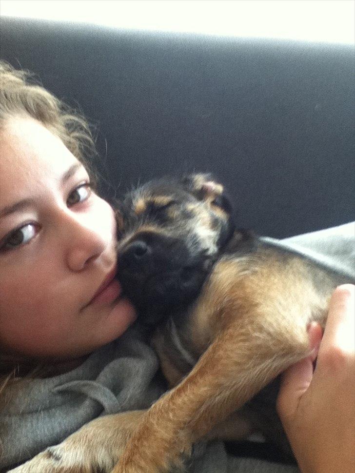 Blanding af racer Thea - mig og thea billede 3