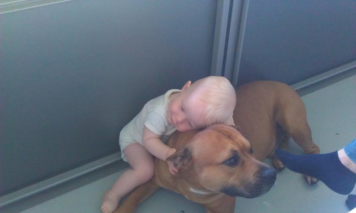 Blanding af racer Kalu - Laim og Kalu krammer billede 10