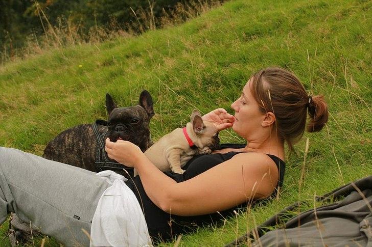 Fransk bulldog Clara - Vi hygger :-) billede 7