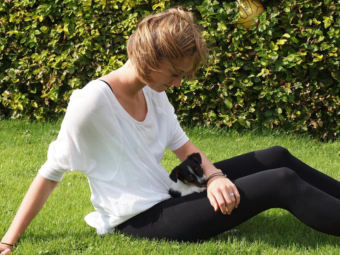 Blanding af racer Carlo - Carlos første uge hos mig. Ude og opleve den store have. Carlo er 8 uger.  billede 1