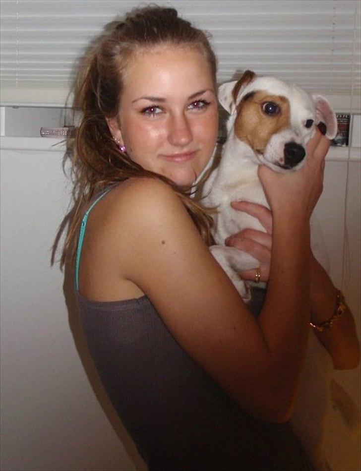 Jack russell terrier lille lindholds Laban - Jeg tror det kaldes kærlighed<3 billede 17