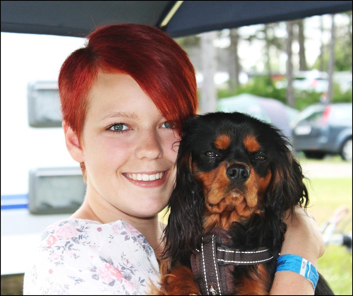 Cavalier king charles spaniel Piccocane's Charlie - Velkommen til Charlie's profil!!
- Mig og Charlie! <3 billede 1