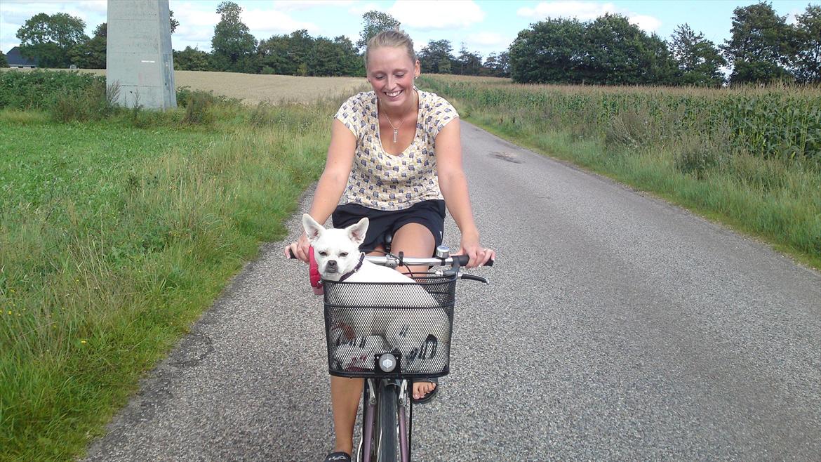 Blanding af racer Sasiha billede 9