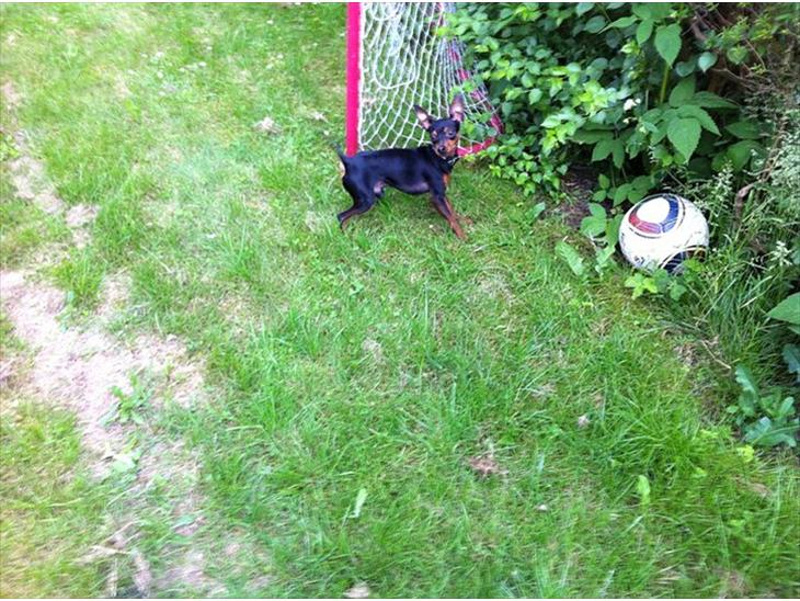 {{currentPhoto.altText}} billede {{currentPhoto.number}}