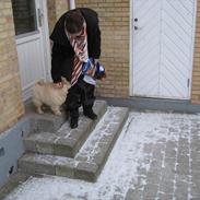 Chow chow Balou Skovgaard Busk