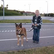 Blanding af racer Bøwle