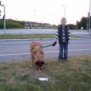 Blanding af racer Bøwle