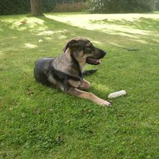 Blanding af racer Aya R.I.P min smukke engel.