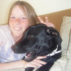 Labrador retriever Sally<3