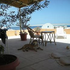 Blanding af racer Boy