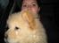 Chow chow Balou Skovgaard Busk