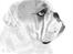 Engelsk bulldog Mugge R.I.P  D.6/6-2016 - Dette billede er tegnet  af Hanne
