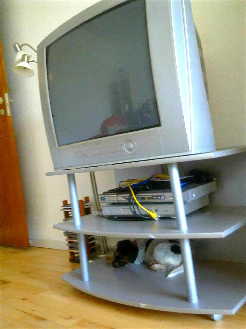 Blanding af racer Milla - Milla agerer dvd maskine. Det fungerer ikke rigtig... :b  billede 13