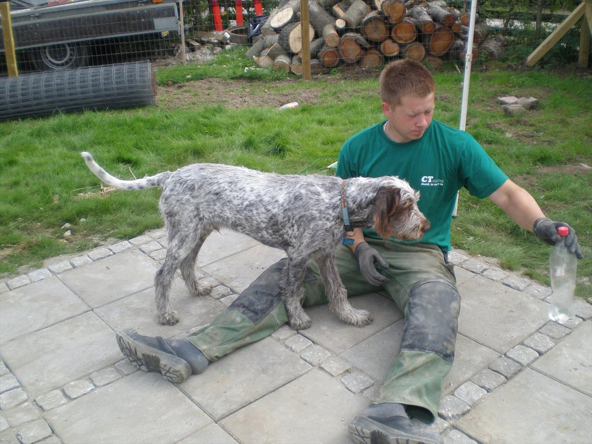 Blanding af racer Cocio - Cocio d. 10 Sep. 2011 billede 16