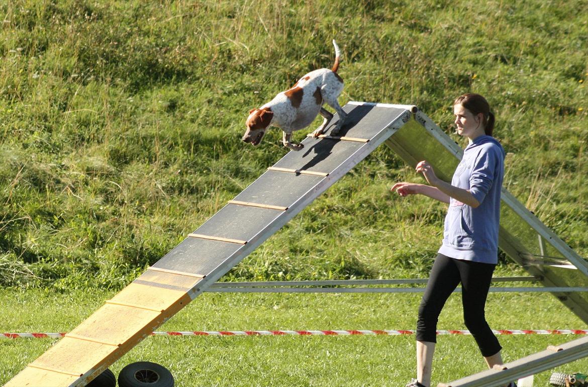 Blanding af racer Tazman - September 2011 billede 11