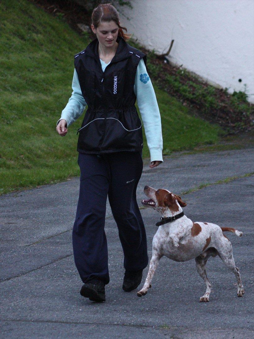 Blanding af racer Tazman - September 2011 billede 13