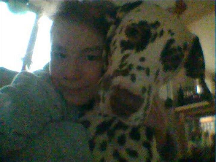 Dalmatiner Trunte - En morgen inden jeg tog til ridning og nej jeg kvæler hende absolut ikke billede 9