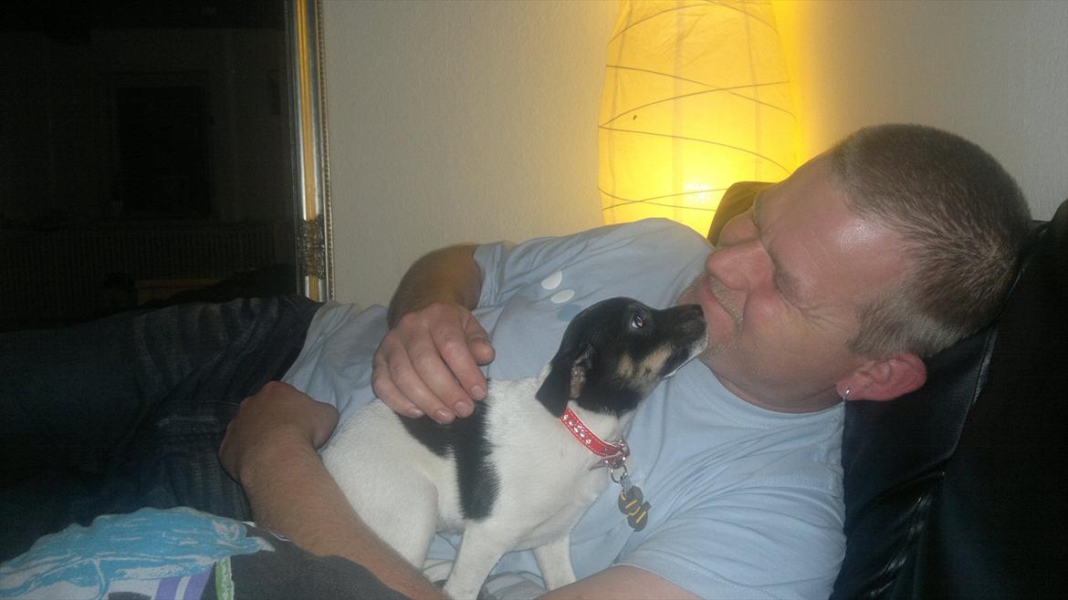 Dansk svensk gaardhund Miley - Miley og min mand :o) billede 6