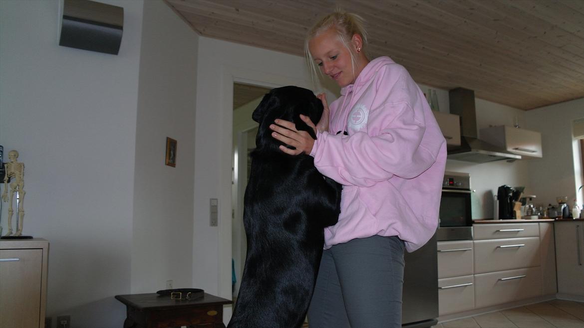 Blanding af racer Bobby - Min dejlige hund<3 billede 3