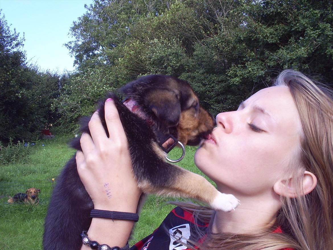 Blanding af racer Anouk - Anouk og Emma billede 6