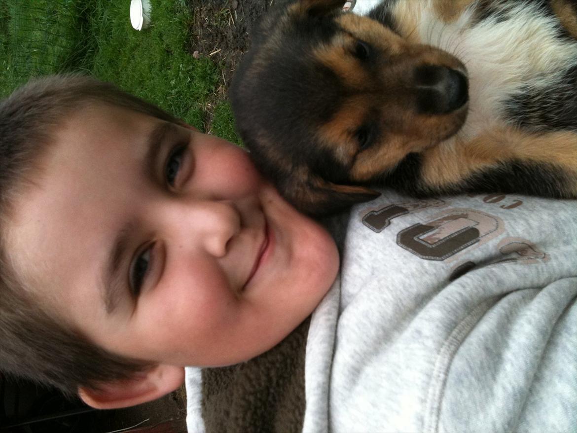 Blanding af racer Anouk - Anouk og Andreas billede 5