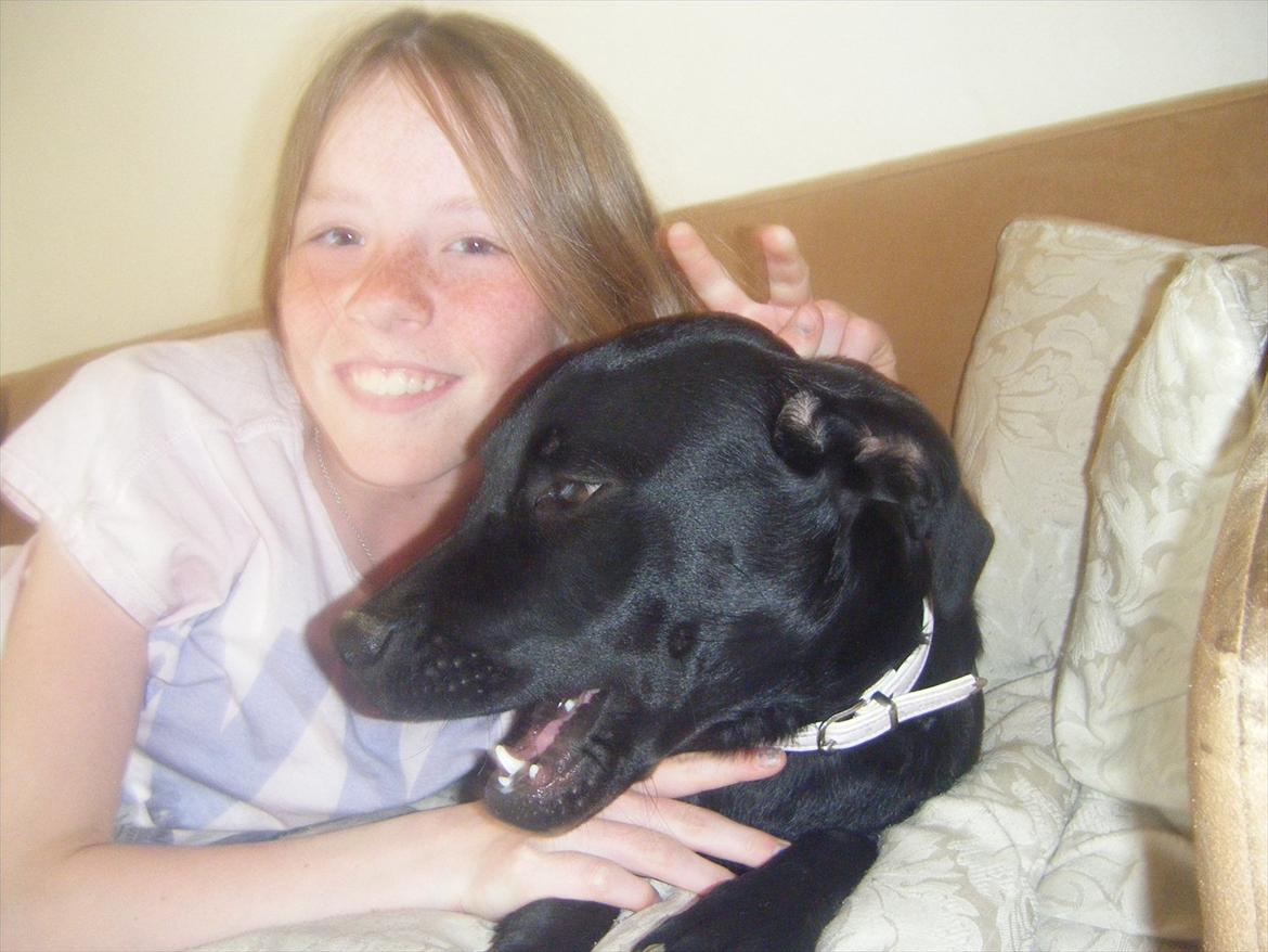 Labrador retriever Sally<3 - Sally og min besteveninde Sille<3 billede 2