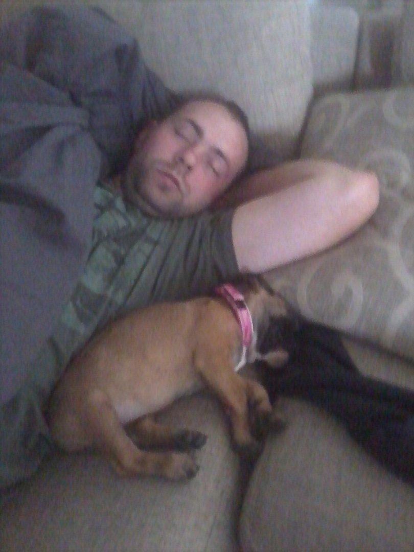 Fransk bulldog Bjeldbaks Amdi <3Bell <3 billede 13