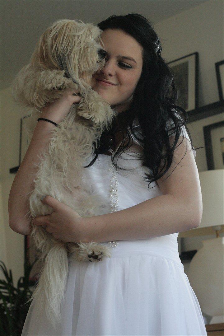 Coton de tulear Kandi - Soul Sister! <3 - Mig & Kandi til min konfirmation! :'D 
Åhh elsker min lillesøster! :* billede 13