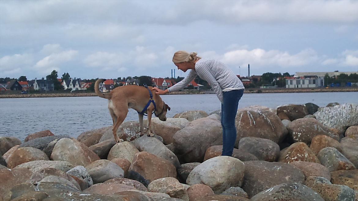 Blanding af racer Boy - Boy og min søster ( På havnen ) billede 7