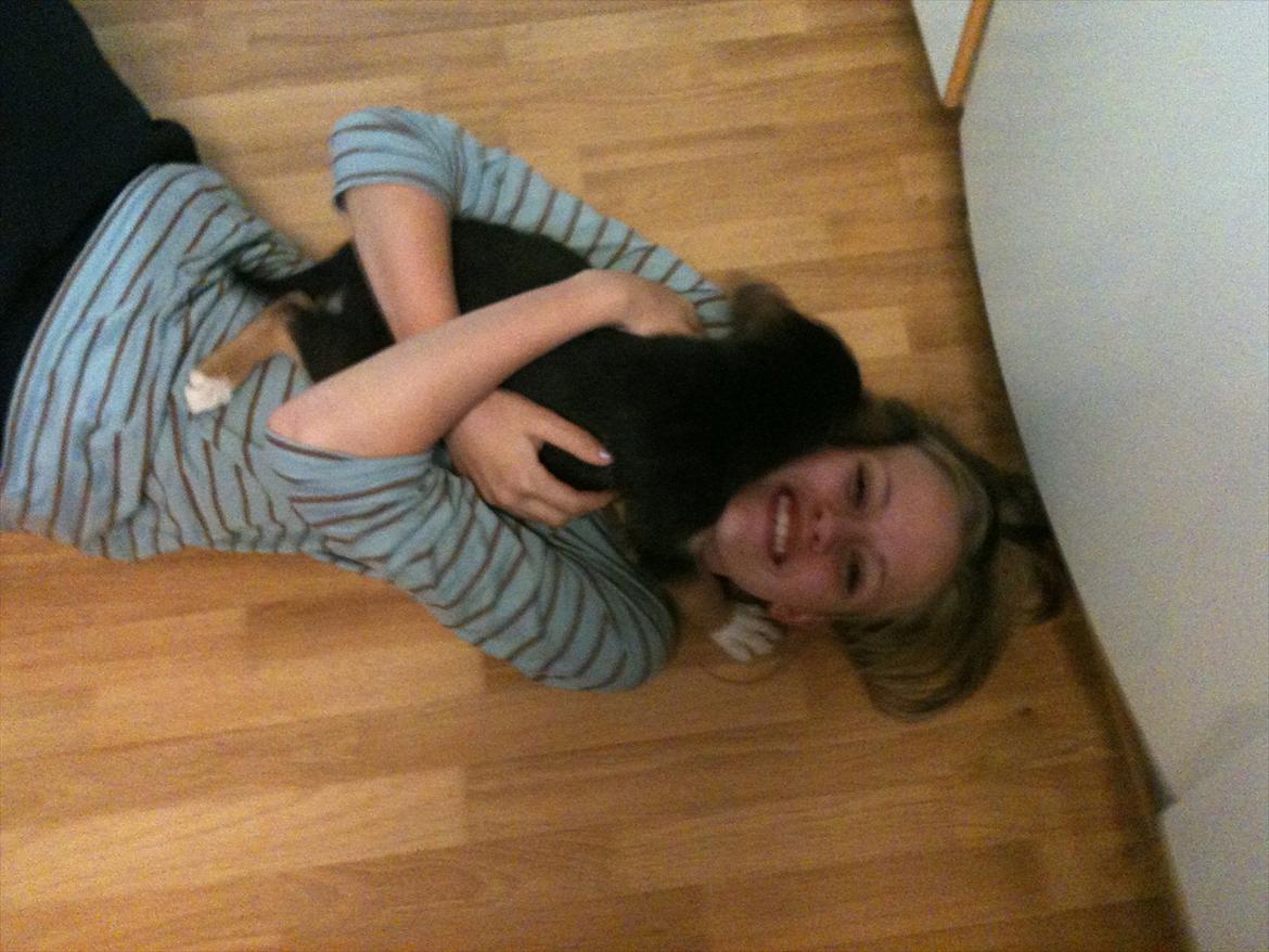 Blanding af racer Anouk - Kærlighed <3 billede 10