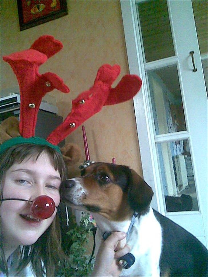 Blanding af racer Buller <3 <3 <3 :D - HA HA billede 9