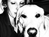 Labrador retriever Cleo