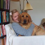 Broholmer Wspomnienie Darmy FRIDA