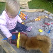 Pomeranian Emma Rasmussen