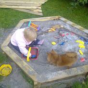 Pomeranian Emma Rasmussen