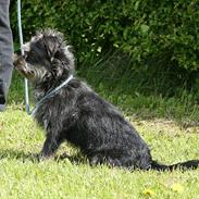 Blanding af racer Mulan. Nu den smukkeste engel!!