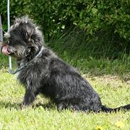 Blanding af racer Mulan. Nu den smukkeste engel!!