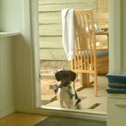 Blanding af racer Tyson