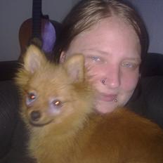 Pomeranian Emma Rasmussen